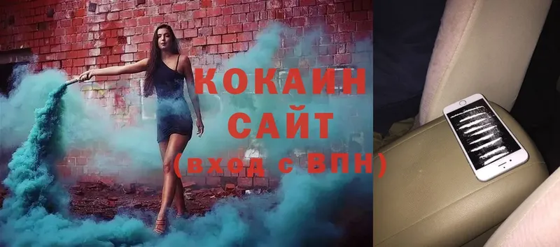 закладка  Алзамай  COCAIN Fish Scale 