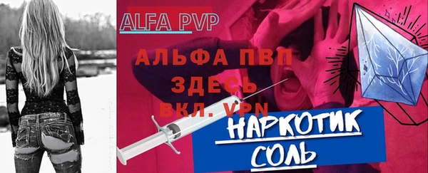 прущие грибы Гвардейск