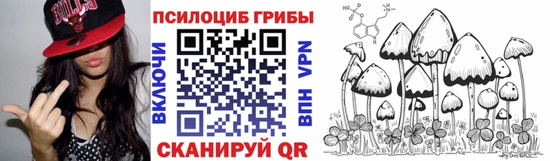 наркота  Алзамай  Псилоцибиновые грибы Psilocybine cubensis 