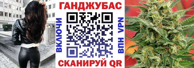 где купить наркоту  Алзамай  Шишки марихуана марихуана 